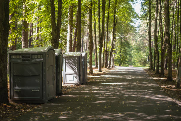 Best Utility Line Clearance  in Renton, WA